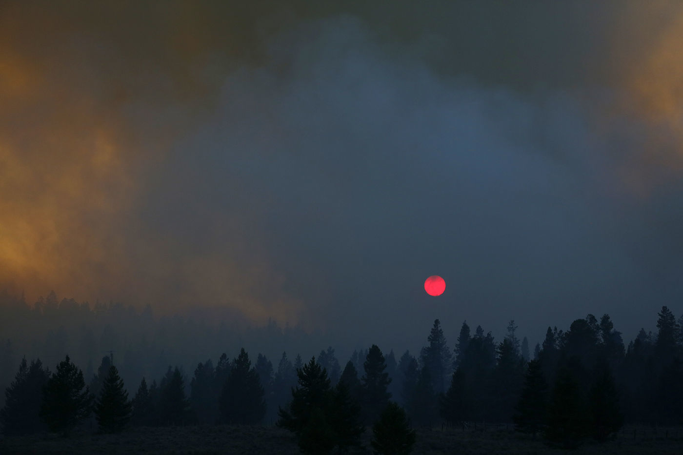 Roosevelt Fire